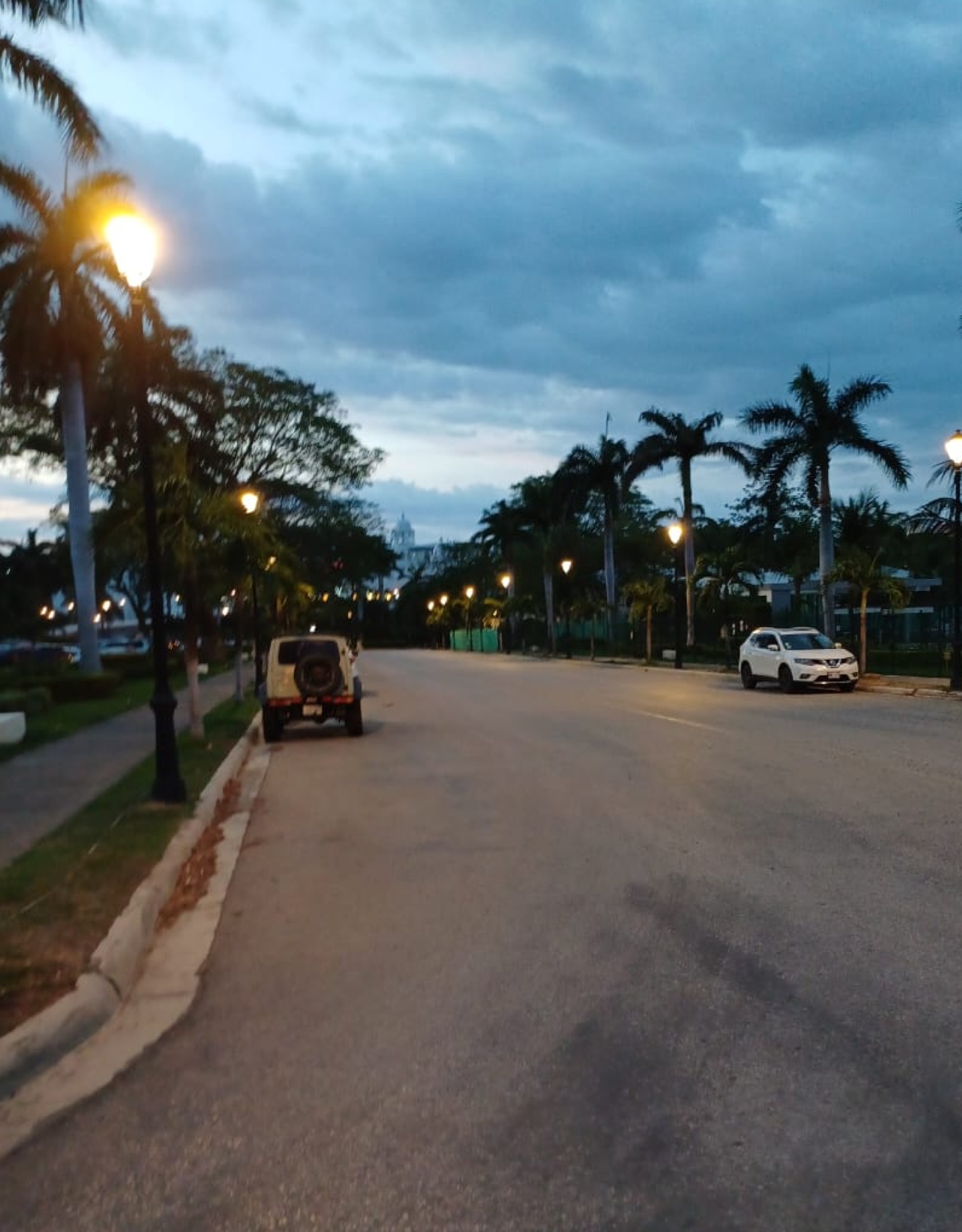 Proyectos