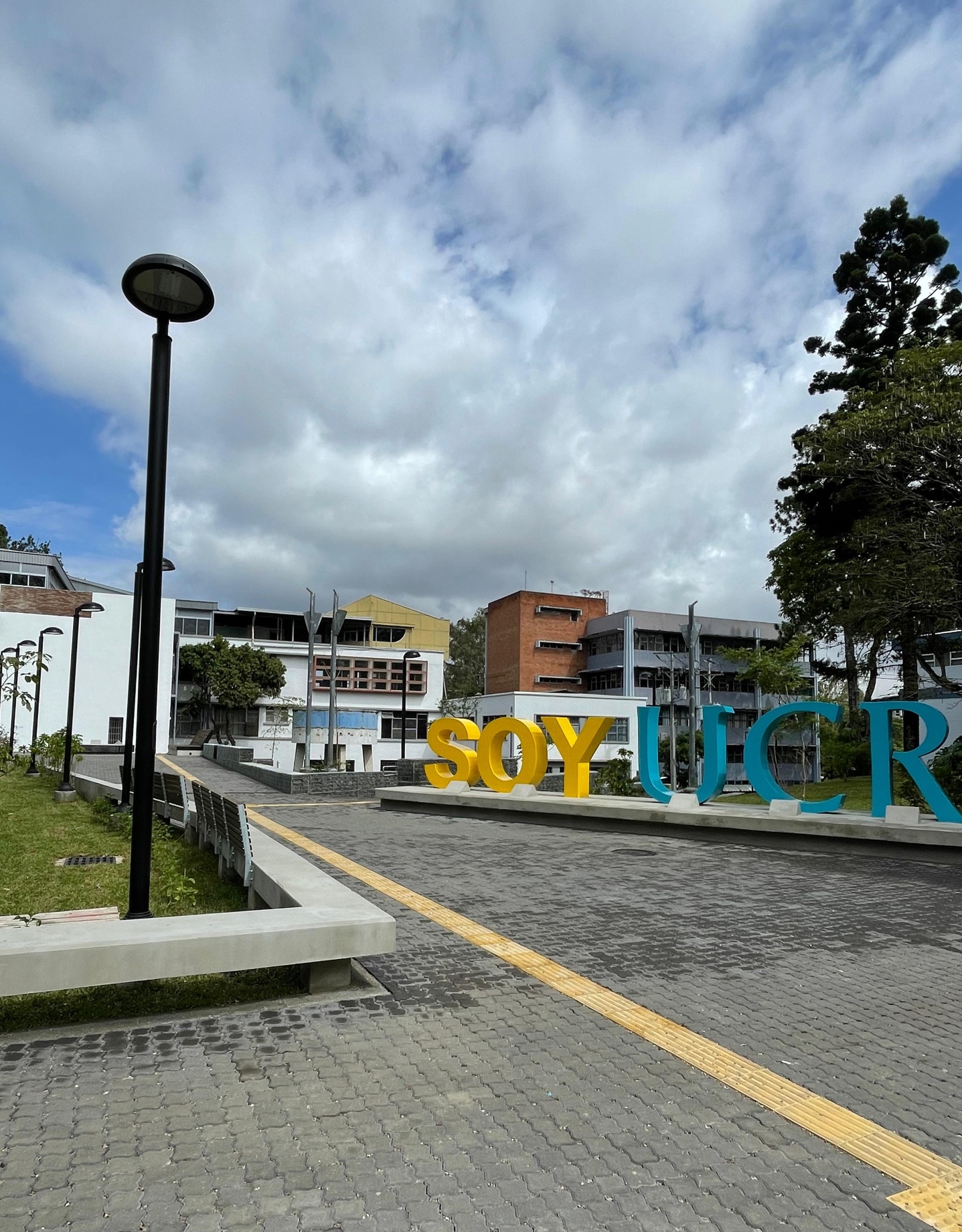 Proyectos